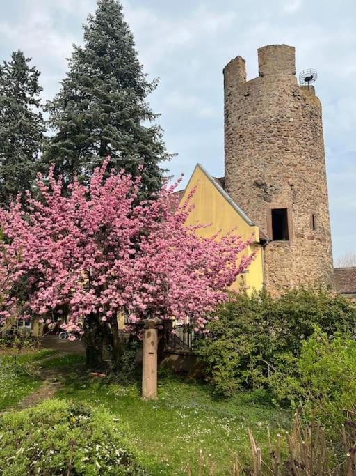 La Jolie Maison Bleue, Au Coeur De L'Alsace Кезерсберг Екстер'єр фото