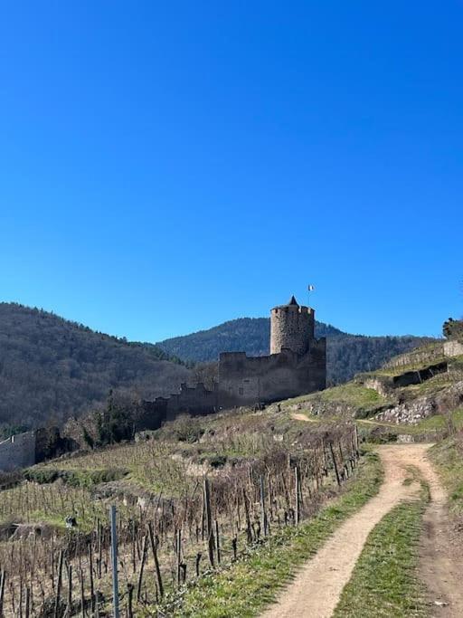 La Jolie Maison Bleue, Au Coeur De L'Alsace Кезерсберг Екстер'єр фото